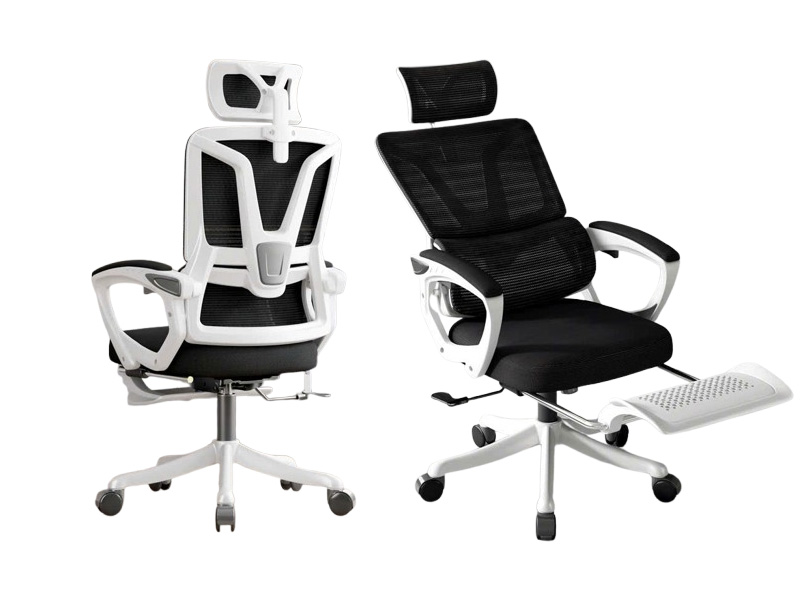 Ghế Công Thái Học TM-CTH8